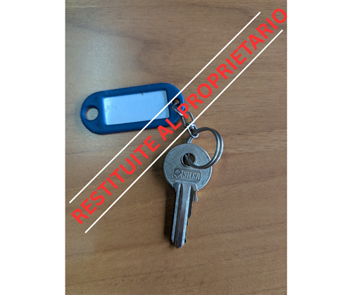 Oggetto smarrito depositato in Comune - aggiornamento: RESTITUITO AL PROPRIETARIO