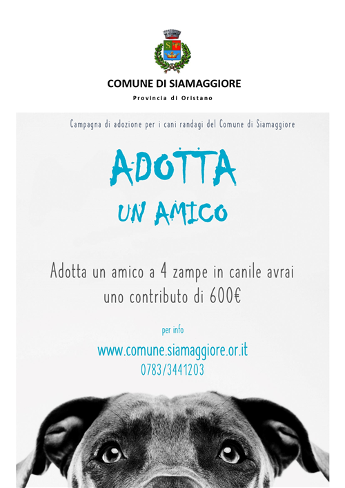 Campagna di adozione cani "adotta un amico"